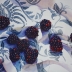 Just Blackberries, a watercolor painting by Chris Krupinski